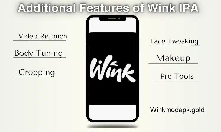 Additional Features of Wink IPA