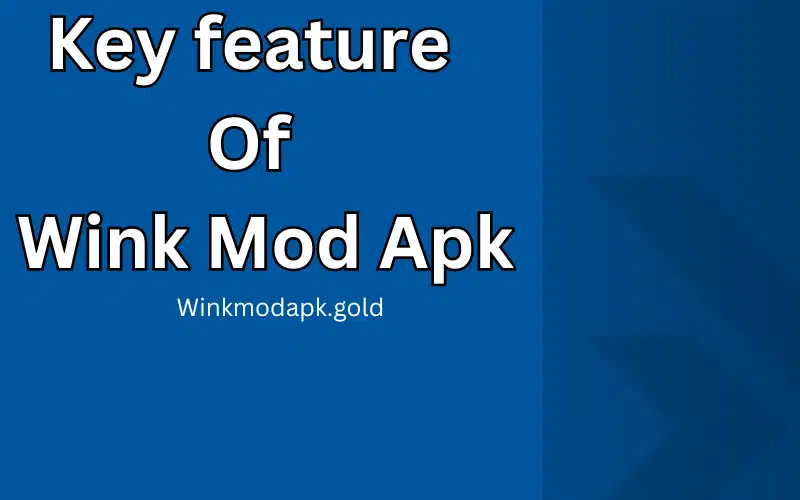 Key feature Of Wink Mod Apk image