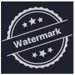wink icon