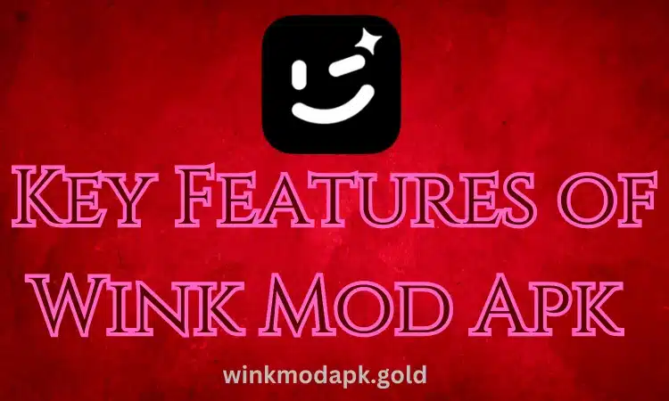 key feature of wink mod apk