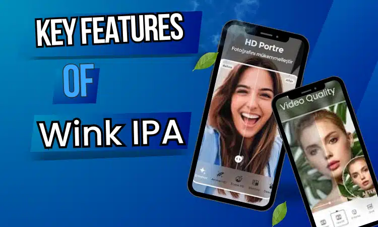 key feature of wink