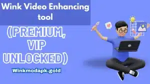 Wink Video Enhancing image