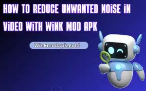 unwanted Noise from videos with wink mod Apk