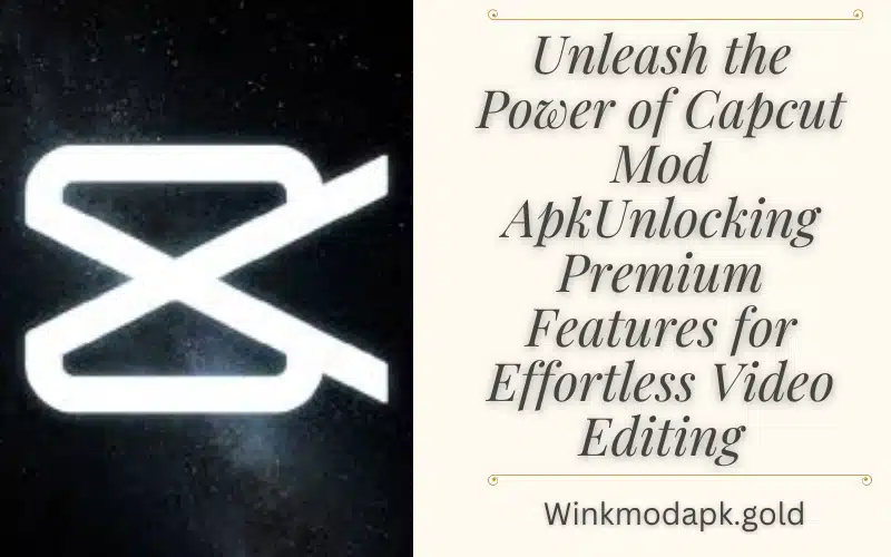 Wink vs Capcut 