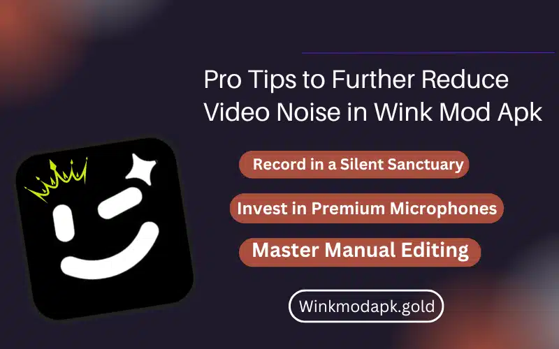 Pro Tips to Further Reduce Video Noise in Wink Mod Apk*
 image