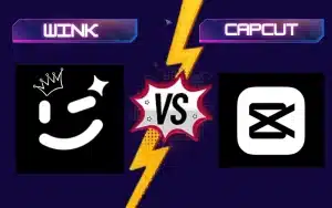Wink vs capcut image