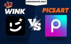 Wink vs Picsart