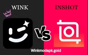 Wink Video Retouching Tool vs. Inshot Video Editor