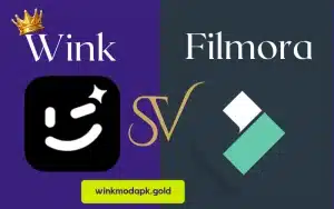 Wink vs Filmora