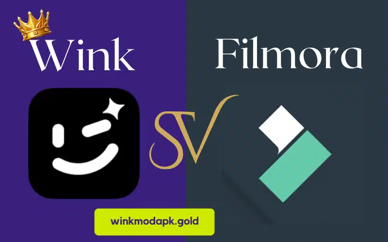 Wink vs Filmora